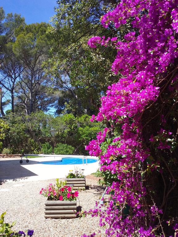 Appartement Dans Villa St Raphael Saint-Raphael (Var) Exterior foto
